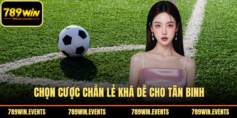 Chọn cược chẵn lẻ khá dễ cho tân binh