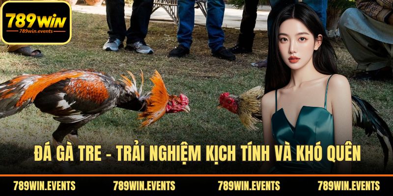 Đá Gà Tre – Trải Nghiệm Kịch Tính Và Khó Quên Tại 789WIN